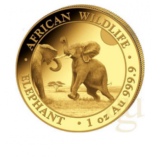 Investiční zlatá mince somálský slon 2024-African Wildlife 1 Oz