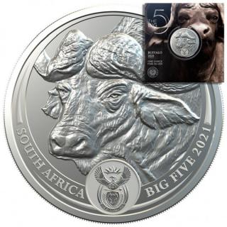 Moderní stříbrná mince Buvol 2021 proof 1 Oz