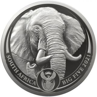Slon africký 1 Oz-série Big five-2021