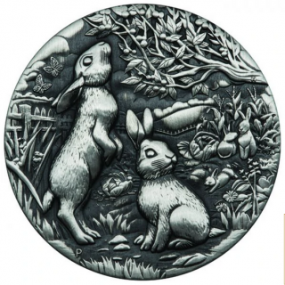 Stříbrná mince Rok králíka 2023-2 Oz -lunární série III.-matné provedení