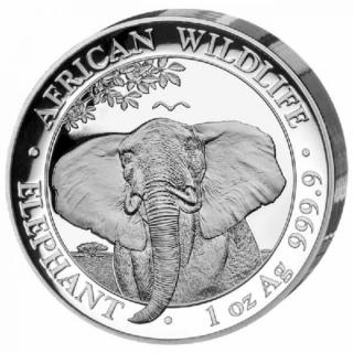 Stříbrná moderní mince Slon 1 Oz proof 2021