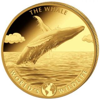 Zlatá moderní mince Whale 5 Oz 2020 proof