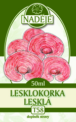 LESKLOKORKA LESKLÁ - REISHI 50ml