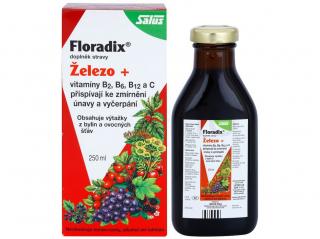 Salus Floradix 250 ml - bezlepkový