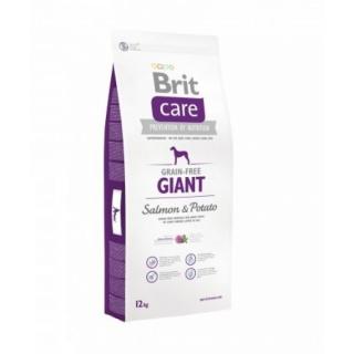 BRIT CARE GF GIANT SALMON & POTATO 3x12 kg