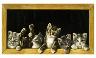 Koženkový panel  28x17cm kočky v rámečku