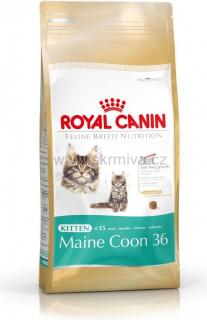 Royal Canin Kitten Maine Coon 10kg