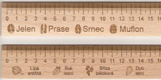 Dřevěné pravítko 30 cm s motivem na míru
