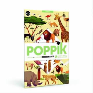 POPPIK Vzdělávací samolepkový plakát Savana