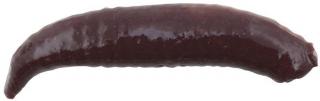 Berkley Gumové Červi GULP 2cm Délka cm: 2,0cm, Barva: NIGHTCRAWLER