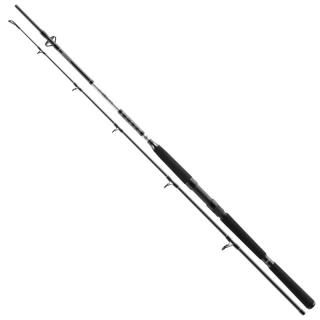 Daiwa Prut BG Boat 2,1m 150-400g 2-díl