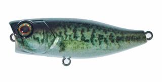 Illex Wobler Chubby Popper 4,2cm Barva: RT Biwako Bass