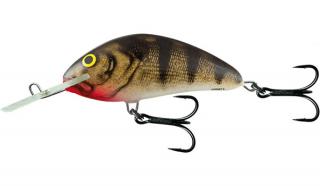 Salmo Wobler Hornet Floating 9cm Barva: Emerald Perch