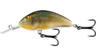 Salmo Wobler Hornet Floating 9cm Barva: Real Roach