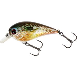 Westin Wobler BassBite 2.5 Squarebill Floating 7cm Délka cm: 7cm, Barva: Real Pumpkinseed