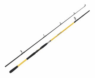 Zfish Prut Kodiak 2,40m 100-250g 2-díl