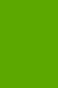 Intenzívne zelený kartón A3 160g/m² 10 listov