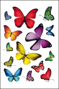 Samolepky DECOR - farebné motýle