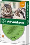 Advantage 40 10% 1x0,4ml pro kočky do 4kg