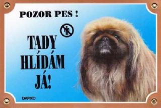 Barevná cedulka Pozor pes Pekinéz