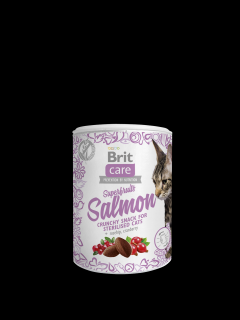 Brit Care Cat Snack Superfruits Salmon 100g