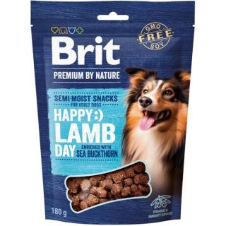 Brit Premium by Nature Dog Semi Snack Lamb&amp;Sea Buckthorn 180g