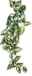 Dekorace umělá rostlina - popínavá Borneo Komodo 23cm