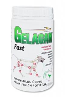 Gelacan Fast plv 500g
