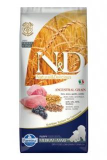 N&amp;D LG DOG Puppy M/L Lamb &amp; Blueberry 12kg