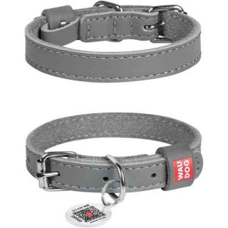 Obojek kůže 25mmx38-49cm WAUDOG šedý
