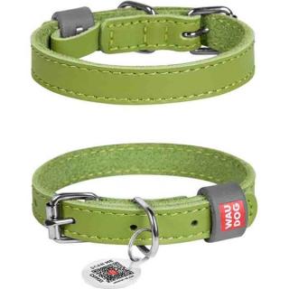 Obojek kůže 25mmx38-49cm WAUDOG zelený