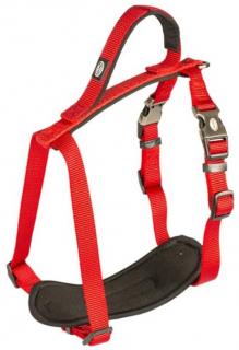 Postroj nylon North červený 2,5x80-100cm Duvo+