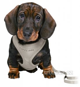Puppy souprava -měkký postroj 26-34cm/10mm + vodítko, světle  šedá