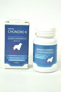 Roboran Chondro 6 pro psy 180 tbl