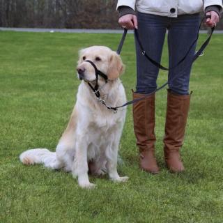 TOP TRAINER výcviková ohlávka M 28cm