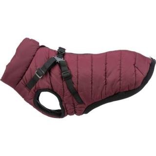 Zimní bunda PIROU s postrojem, sangria XXS 24cm