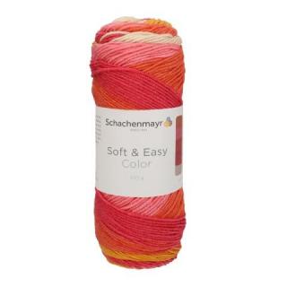 Soft & Easy Color 095