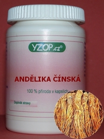 ANDĚLIKA ČÍNSKÁ - 50 kapslí | YZOP