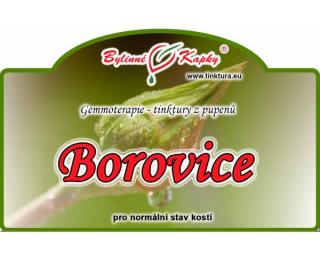 BOROVICE gemmoterapie kapky (tinktura) 50ml | Bylinné kapky