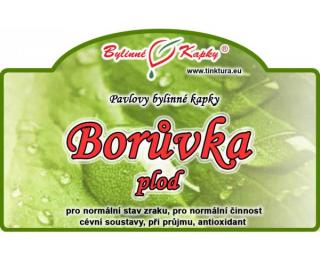 BORŮVKA PLOD KAPKY
