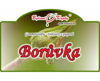 BORŮVKA pupeny 50 ml gemmoterapie | Bylinné kapky