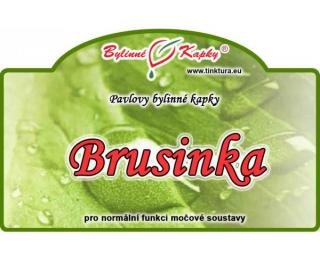 BRUSINKA list kapky (tinktura) 50ml | Bylinné kapky