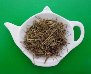 CANCHALAGUA nať sypaný bylinný čaj | Centrum bylin (Schkuhria pinnata (Lam.) Kuntze)