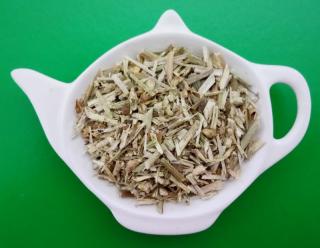 ČEKANKA OBECNÁ nať sypaný bylinný čaj | Centrum bylin  (Cichorium intybus)