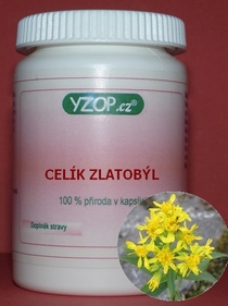 CELÍK ZLATOBÝL - 50 kapslí | YZOP