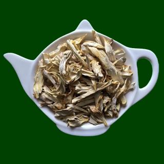 Centrum bylin HLÍVA ÚSTŘIČNÁ plátky 100g (Pleurotus ostreatus)