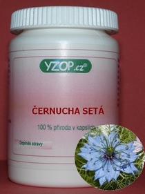 ČERNUCHA SETÁ - 50 kapslí | YZOP