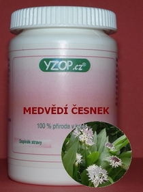 ČESNEK MEDVĚDÍ - 50 kapslí | YZOP