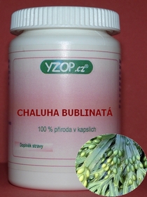 CHALUHA BUBLINATÁ - 50 kapslí | YZOP