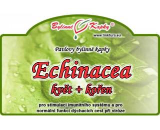 ECHINACEA KVĚT + KOŘEN kapky (tinktura) 50ml | Bylinné kapky